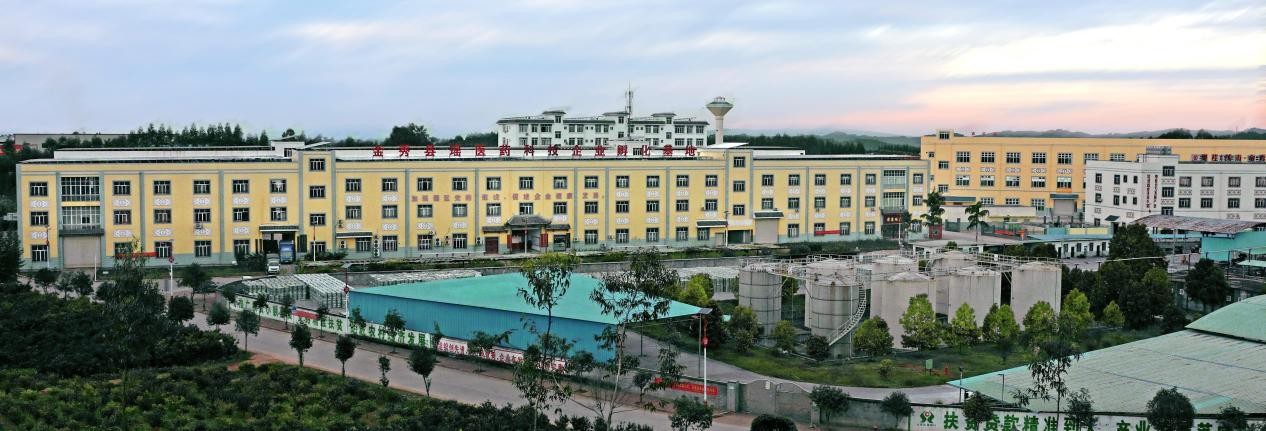 汇萃本草：汇集百种植萃，品质“瑶瑶”领先