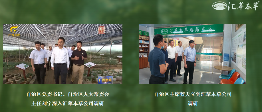 汇萃本草：汇集百种植萃，品质“瑶瑶”领先