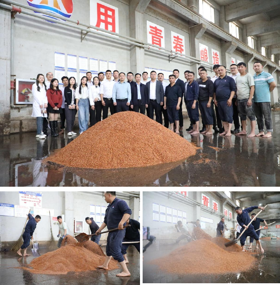 赤水河谷九月九·贵州慧台下沙酿新酒