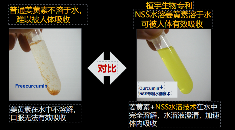 试析醒酒产品市场，植宇生物携姜小黄开创2.0时代