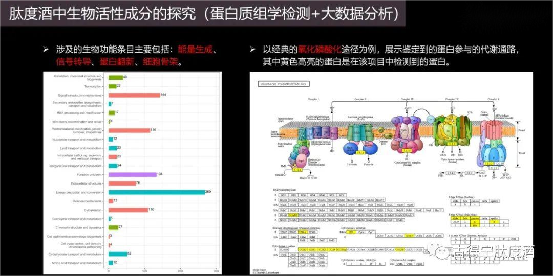 贵州古得宁酒业：以生物科技引领健康产业，创新研发助力大健康